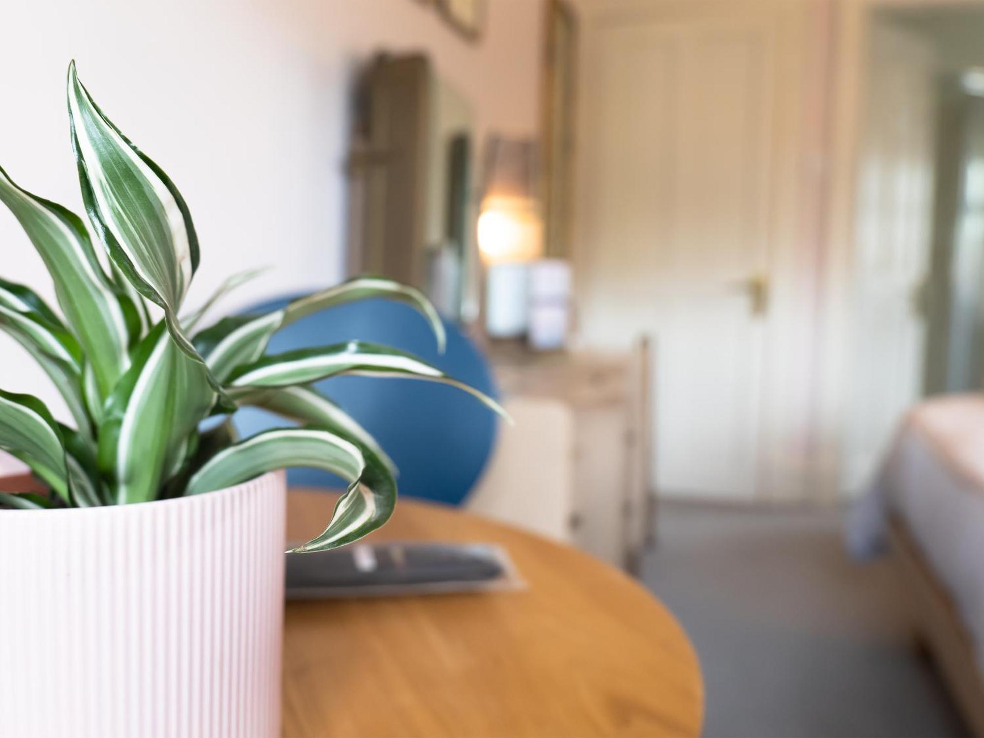 Wildwood B&B Lymington Εξωτερικό φωτογραφία