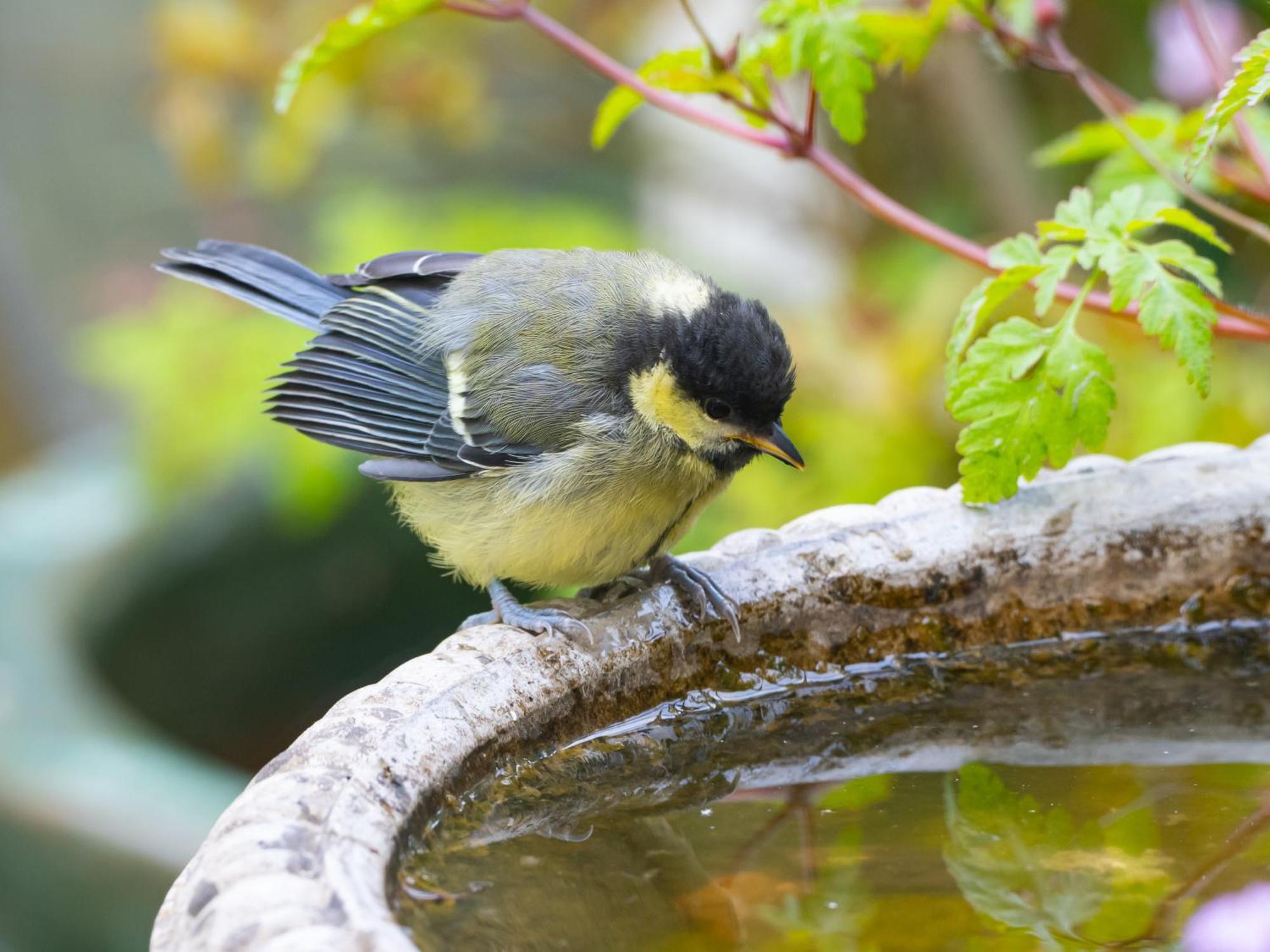 Wildwood B&B Lymington Εξωτερικό φωτογραφία