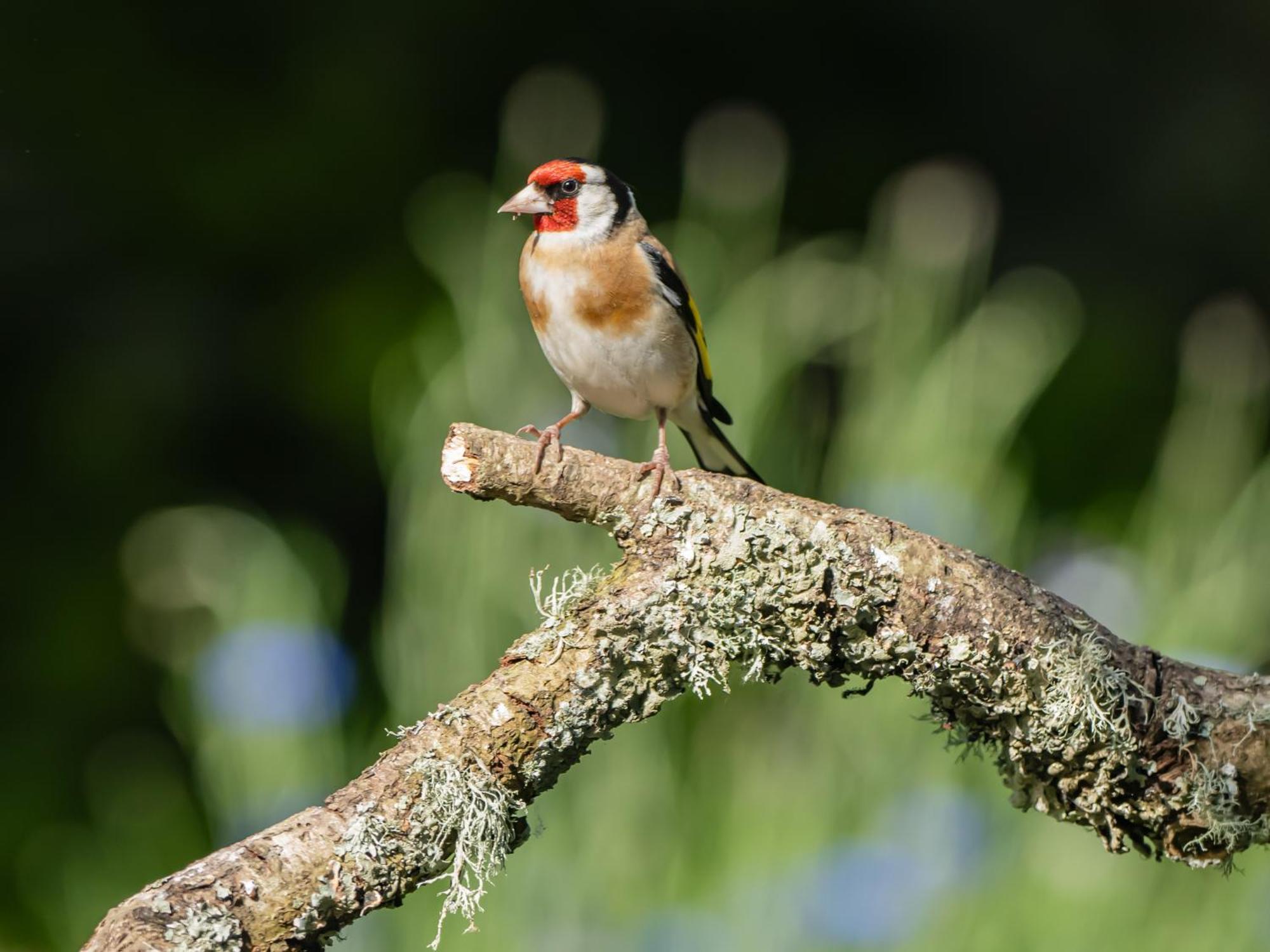 Wildwood B&B Lymington Εξωτερικό φωτογραφία