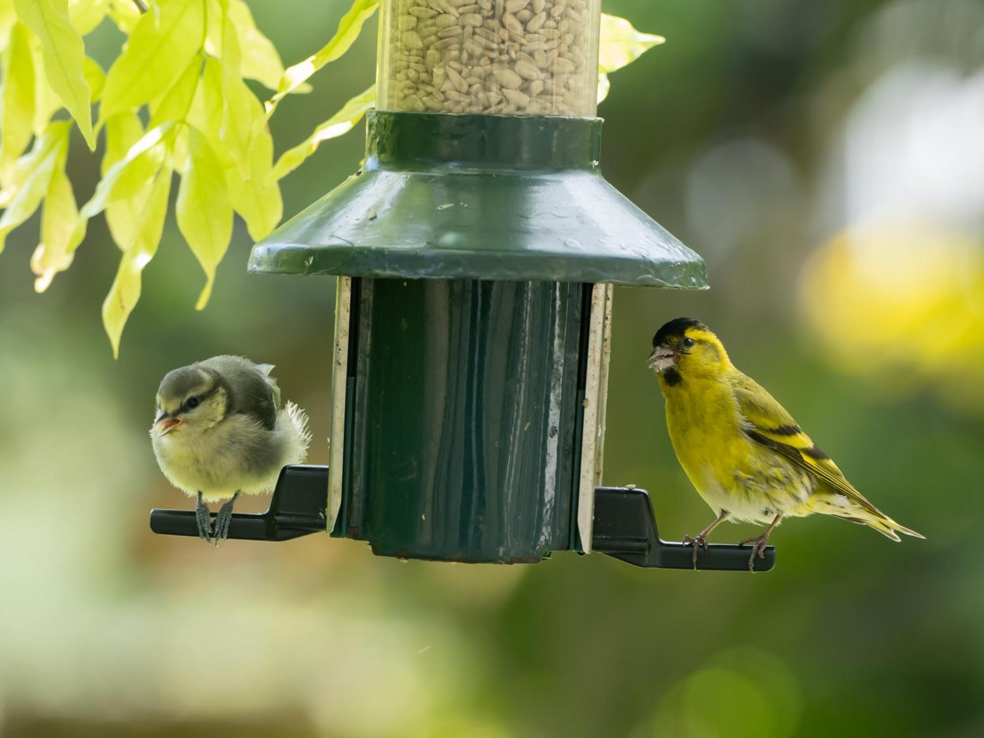 Wildwood B&B Lymington Εξωτερικό φωτογραφία
