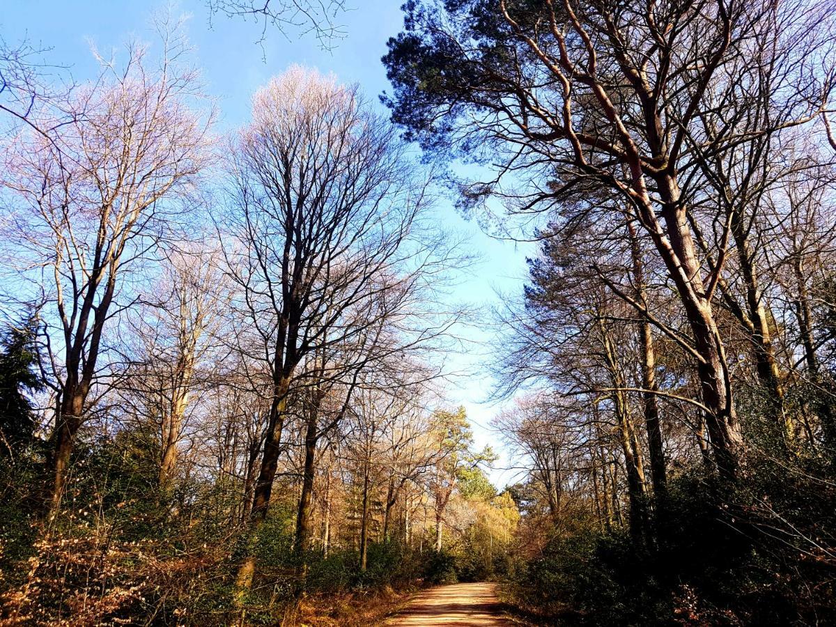 Wildwood B&B Lymington Εξωτερικό φωτογραφία