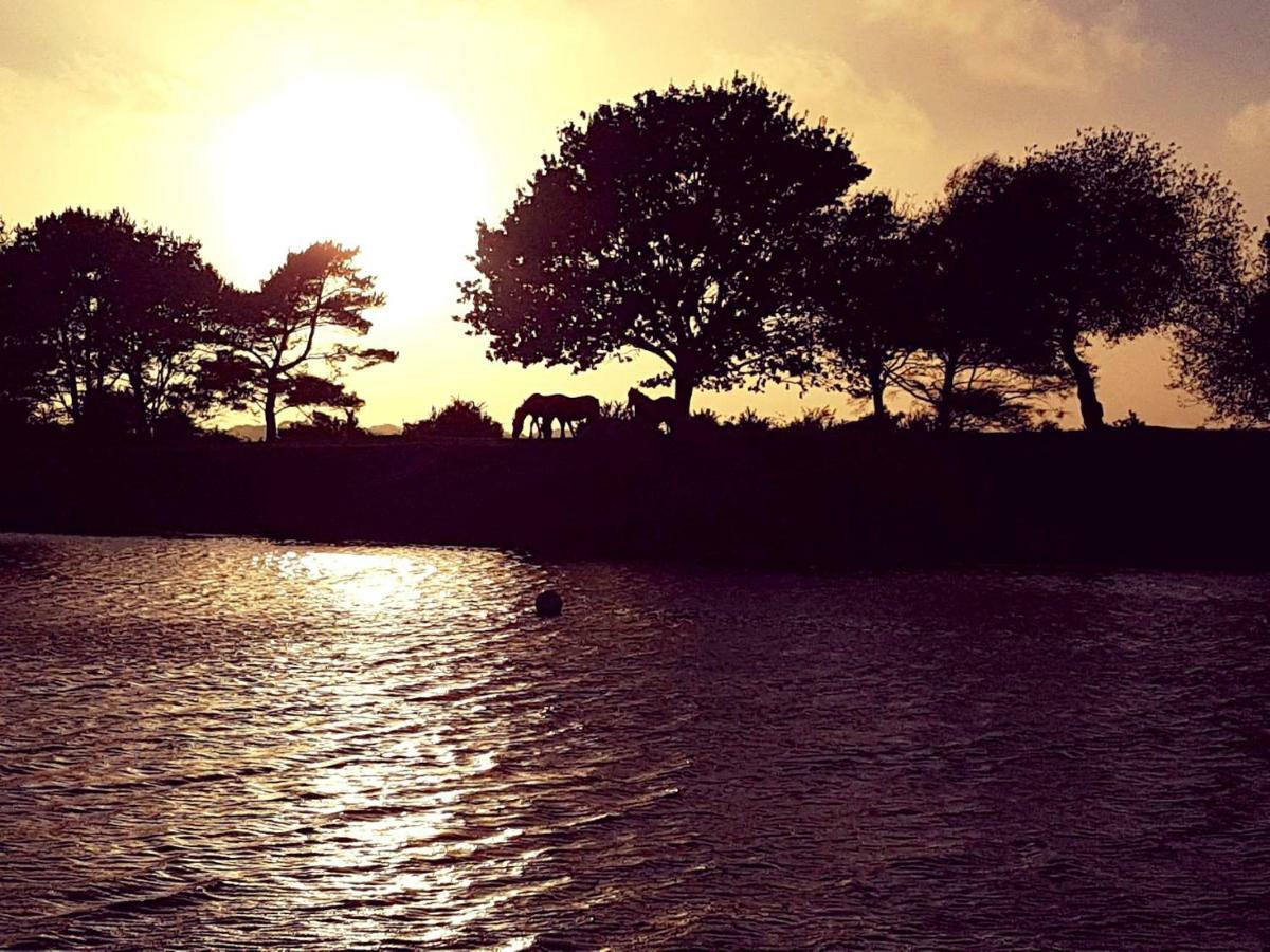 Wildwood B&B Lymington Εξωτερικό φωτογραφία