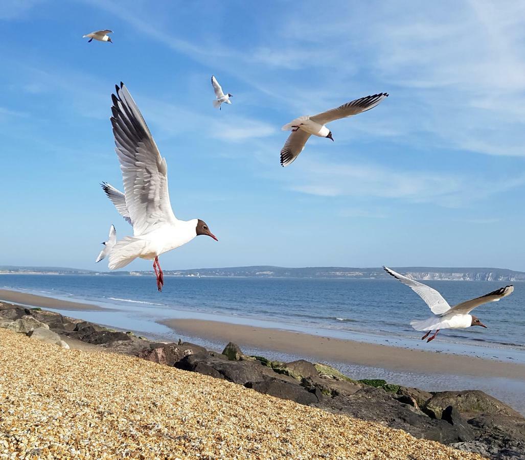 Wildwood B&B Lymington Εξωτερικό φωτογραφία